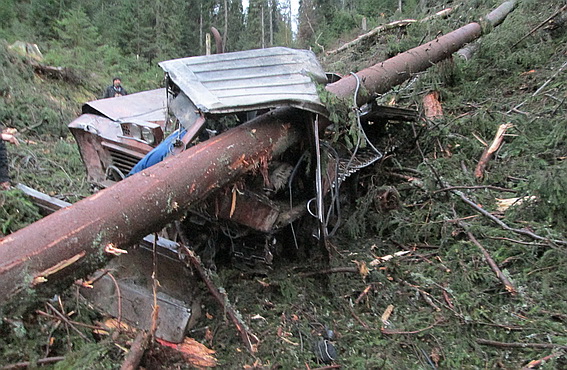 ФОТО з місця трагедії на Рахівщині, де 25-метровий стовбур дерева в