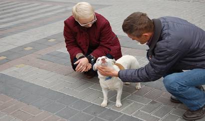 У Мукачеві реалізовують гуманний проект регулювання чисельності безпритульних тварин (ФОТО)