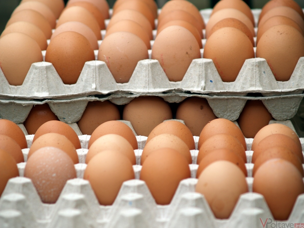 Закарпатським підприємцям рекомендували не підвищувати ціни на яйця