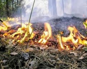 Про загоряння в лісі на Воловеччині закарпатських рятувальників повідомили зі Львова