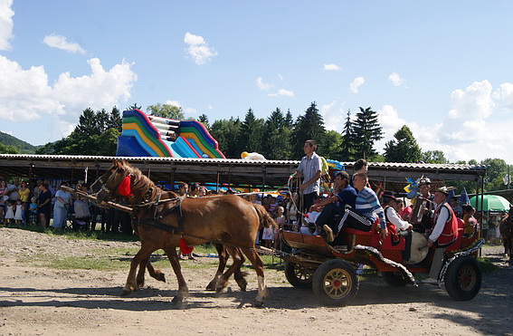 У Довгому день села відзначили фестивалем «Довжанська фіра» (ФОТО, ВІДЕО)