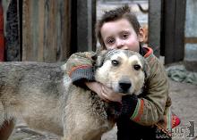 Закарпатці можуть «усиновити» собаку із Мукачівського притулку