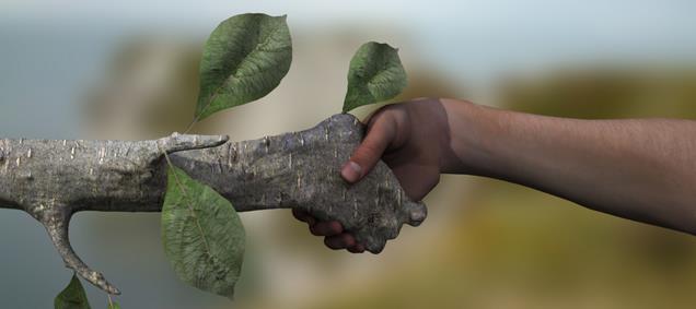 В Ужгороді відбудеться екологічна акція «Здай макулатуру – збережи дерево»