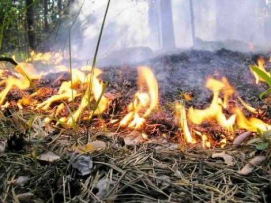 На Закарпатті знову попередили про високий рівень пожежної небезпеки