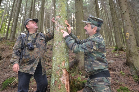 Експерти здійснили моніторинг пробних площ лісів у НПП «Синевир» (ФОТО)