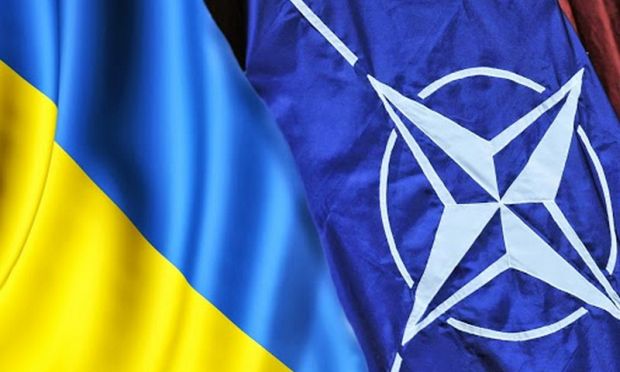 Балога сподівається, що Порошенко із Яценюком не будуть робити "дурних заяв про те, що НАТО "не на часі"
