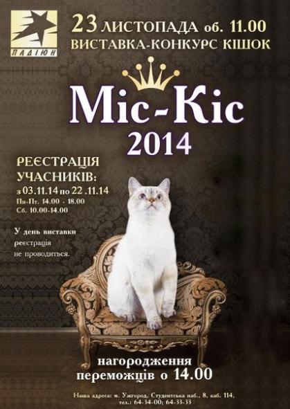 В Ужгороді 23 листопада відбудеться традиційна виставка-конкурс кішок "Міс-Кіс"