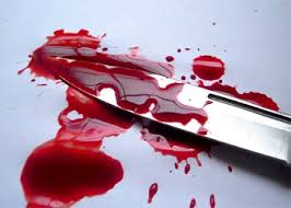 На Іршавщині під час сварки жінка вбила свого чоловіка ножем, після чого намагалася скоїти самогубство (ФОТО)