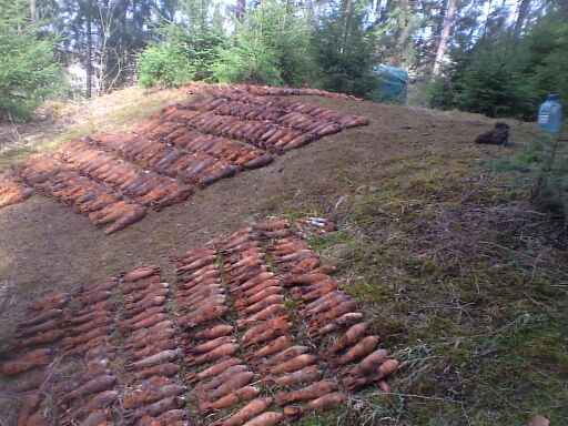 Знайдений на Рахівщині "арсенал" нараховує вже 305 мін та гранат (ФОТО)