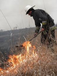 З понад 1,5 тисячі пожеж минулоріч на Закарпатті майже 760 трапились через спалювання сухостою та сміття