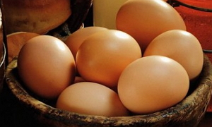 На Закарпатті яйця подешевшали на 17,1 відсотка?