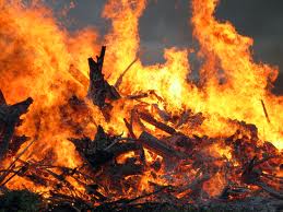 На Рахівщині палав будинок, а в Ужгородському районі загорілось дерево