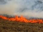 З початку року в екосистемах Закарпаття трапилась 281 пожежа із горінням трави та сміття