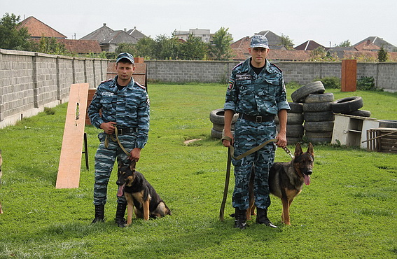 Закарпатській міліції подарували 4 вівчарки (ФОТО)