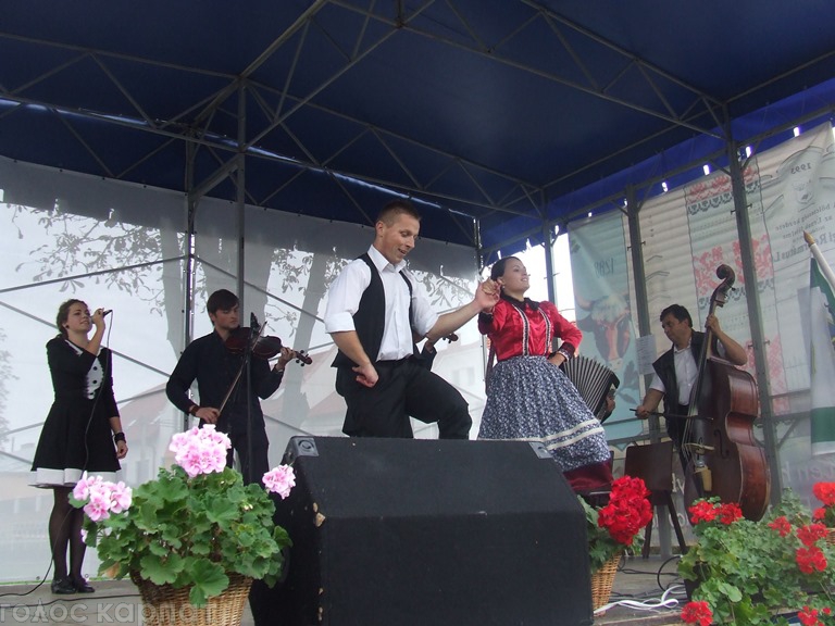 На Берегівщині відбувся фестиваль шипшини і ткацтва (ФОТО)
