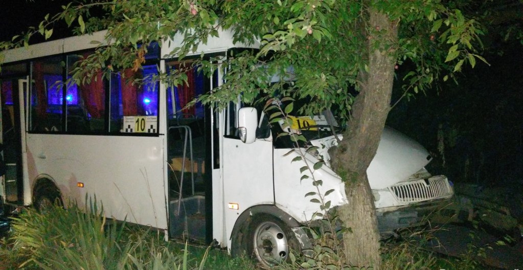 В Ужгороді після зіткнення з таксі "маршрутка" врізалася в дерево (ФОТО)