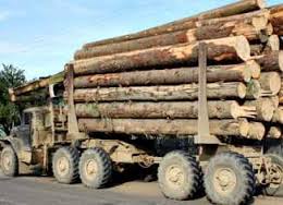 У Грушеві на Тячівщині зупинили вантажівку, що везла 32 кубометри хвойного лісу 