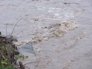 Рівень води у річках Тячівщини починає поступово знижуватися – РДА