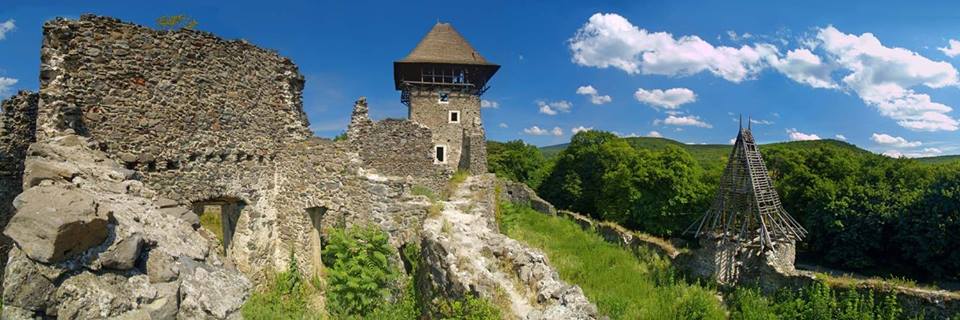 На відновлення даху історичного Невицького замку на Закарпатті необхідно 500 тис грн
