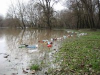 Угорці шоковані сміттям, що припливло Тисою після паводку на Закарпатті (ФОТО)