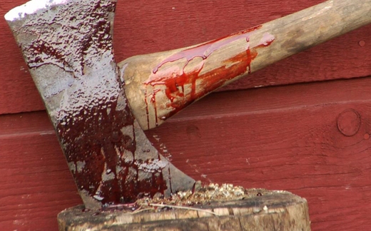 На Тячівщині браконьєр вдарив лісника сокирою в обличчя