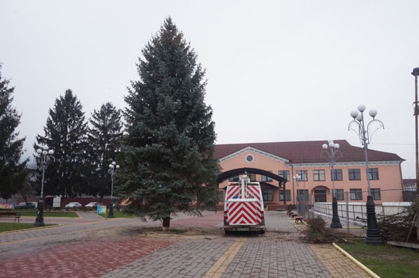 У Тячеві встановили 12-метрову новорічну ялинку (ФОТО)