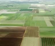 На Закарпатті у власність та користування передано понад 12 тис га сільськогосподарських земель      