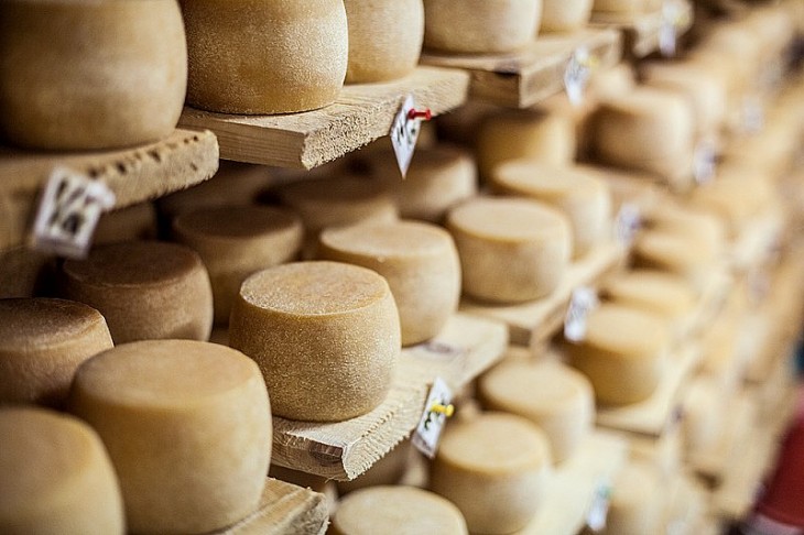 На Закарпатті під час екскурсії 11 місцевими сироварнями пропонують скуштувати унікальних сирів (ВІДЕО)