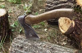 На Іршавщині 66-річного чоловіка насмерть придавило дерево