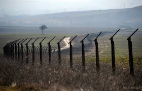 На Закарпатті незаконно виділили 46 земельних ділянок уздовж лінії кордону