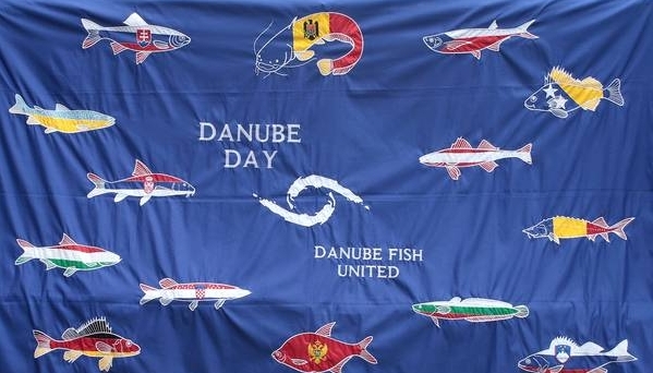 У День Дунаю на Закарпатті влаштують фестиваль та нагородять учасників конкурсу "Пластикові скарби" 
