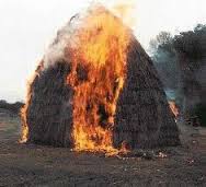 На приватній земельній ділянці на Ужгородщині згоріло 8 т сіна