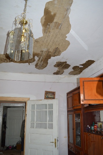 Людям, що постраждали від нічного буревію на Ужгородщині, область обіцяє компенсацію за завдані збитки