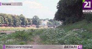 На ліквідацію борщівника в Ужгороді цьогоріч виділили з міського бюджету 357 тис грн (ВІДЕО)