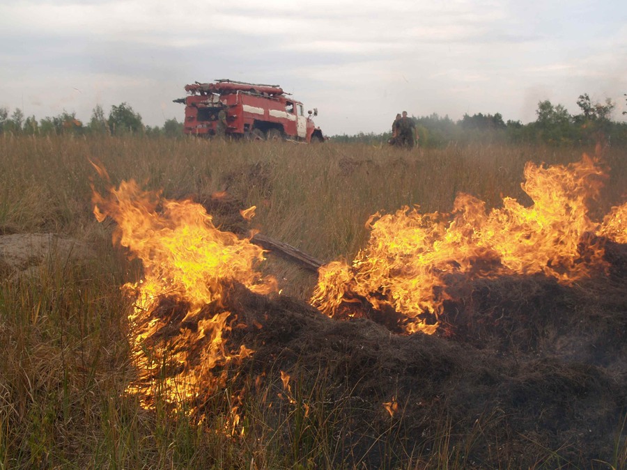 На Берегівщині під час гасіння загорання сухої трави травмувалася 62-річна жінка
