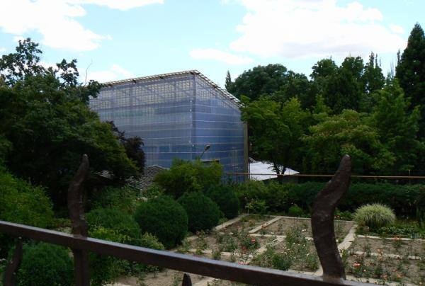 Відкрита екскурсія Ужгородом запрошує у Ботанічний сад