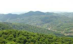 Ботанічний заказник "Холмовецька гора" на Виноградівщині став об’єктом природно-заповідного фонду місцевого значення