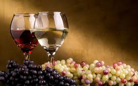 На Ужгородщині відкрили першу виноробно-виноградарську навчально-дослідну ділянку європейських сортів винограду