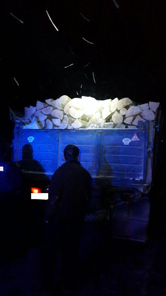 У Мукачеві затримали вантажівку із 7 "кубами" деревини без документів