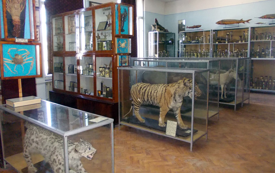 17 січня "Відкриті екскурсії" в Ужгороді завітають у зоологічний музей УжНУ