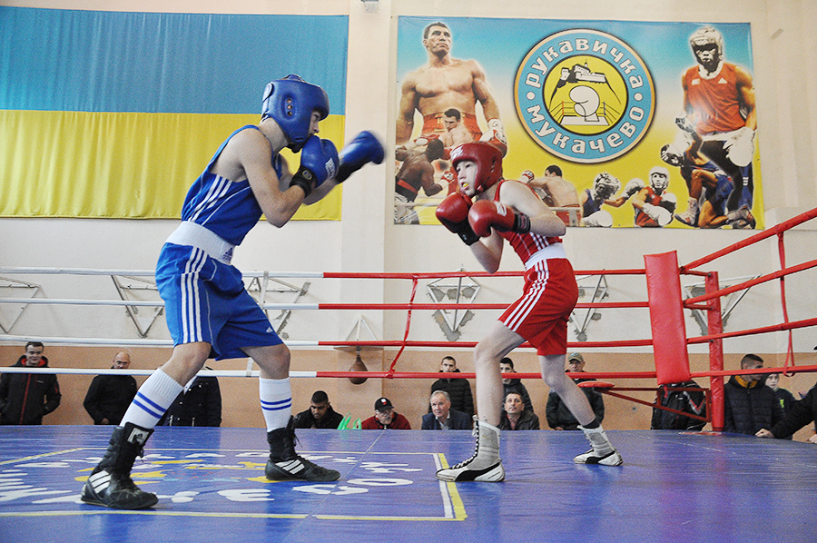 У Мукачеві відбувся чемпіонат області з боксу (ФОТО)