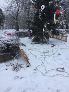 У Ракошині на Мукачівщині невідомі понищили центральну новорічну ялинку та святкову ілюмінацію (ФОТО)