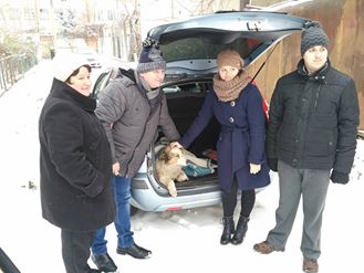 Доправлених до притулку в Ужгороді після двох днів на морозі на колії псів забрали їхні господарі (ФОТО)