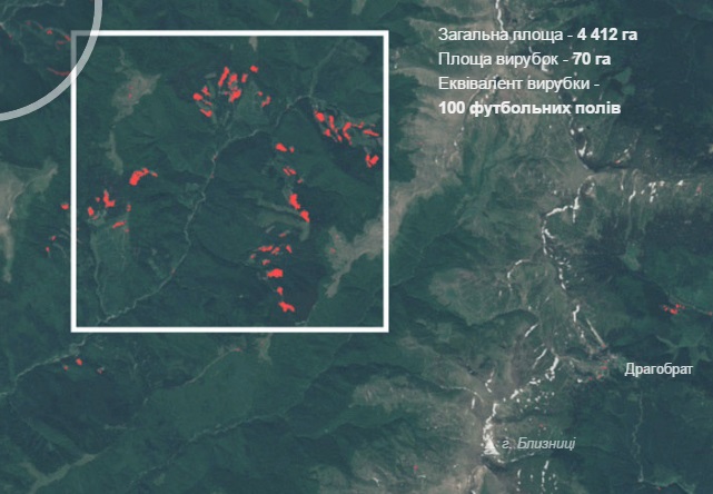 На Закарпатті комісія  Держлісагентства поки не знайшли підтвердження фактів незаконної рубки лісів з інтерактивної карти