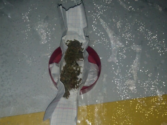 У Хусті в неповнолітнього пасажира в авто під кермуванням неповнолітнього водія знайшли марихуану (ФОТО)