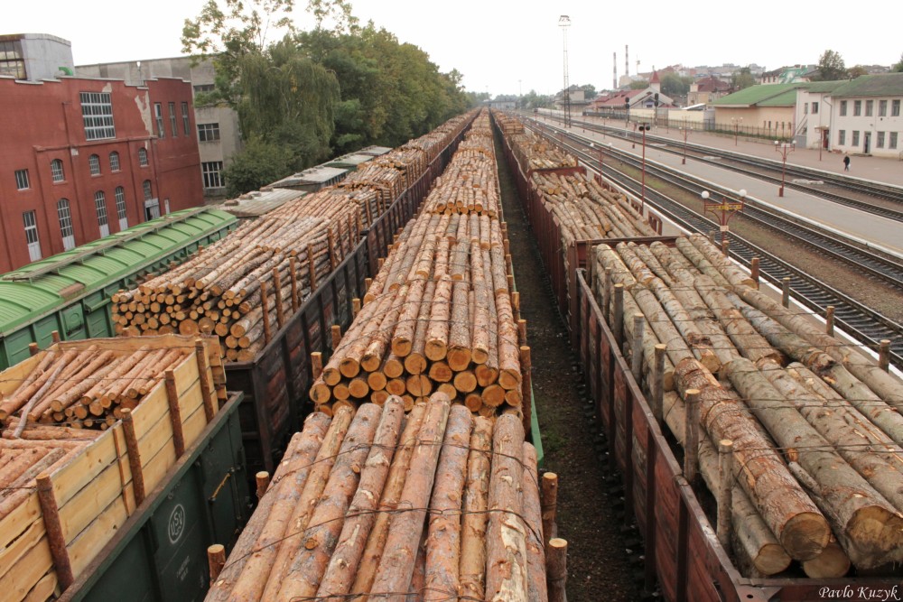Після введення мораторію на експорт кругляка кількість деревообробних підприємств на Закарпатті зросла на 136%