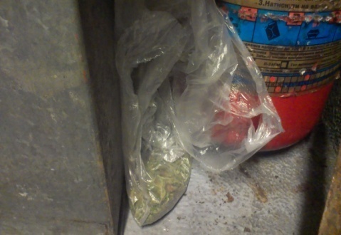На Закарпатті, в потязі "Прага-Київ" у сміттєвому баці Ріна "винюхала" марихуану (ФОТО)