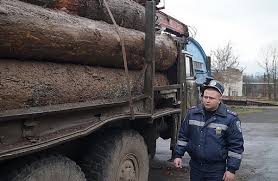 За 2 дні на Закарпатті затримали вантажівки з  55,5 м куб деревини з сумнівними документами
