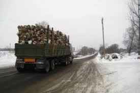 Житель Рахівщини намагався незаконно перевезти 31 кубометр деревини бука без документів