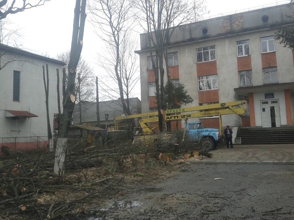 Через незаконну обрізку дерев в Ужгороді викликали міліцію (ФОТО) 